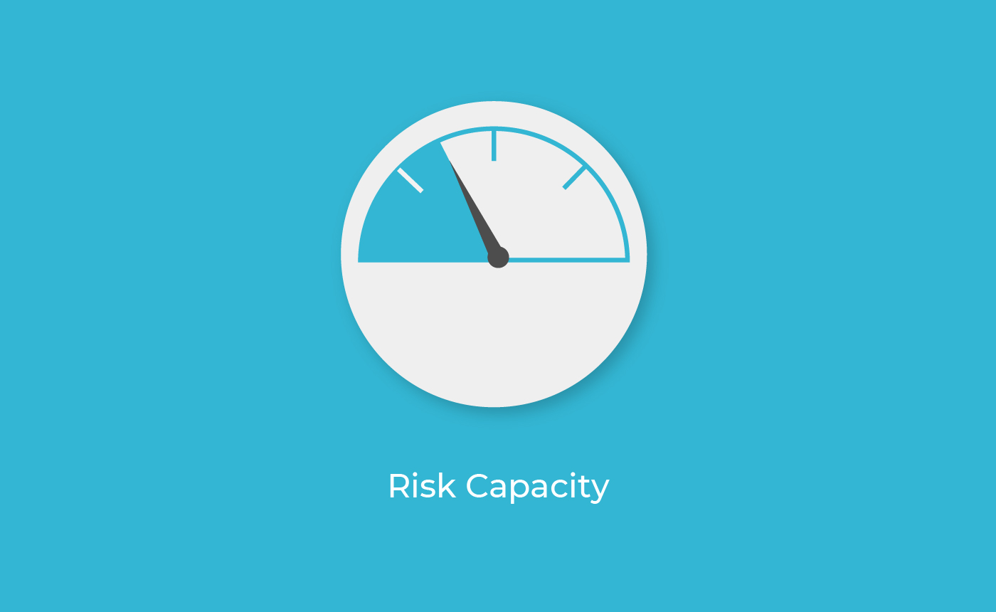 risk capacity meter